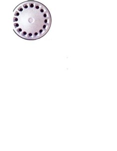 BORCHIA ALFA 145/146