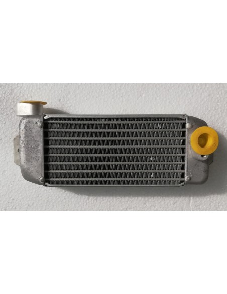 RADIATORE OLIO PUNTO GT 1100