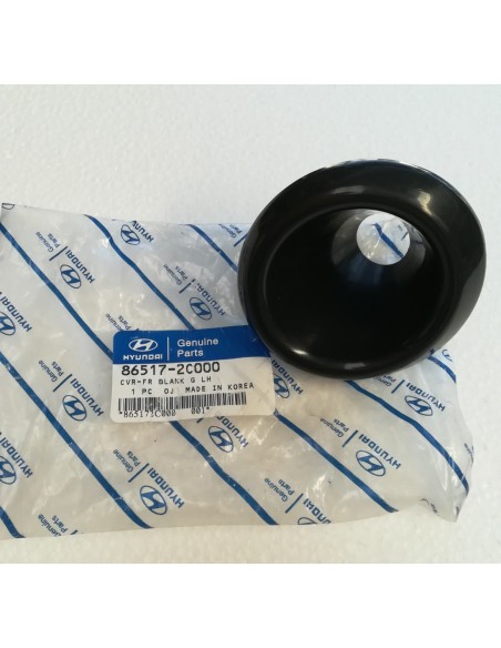 GRIGLIA FENDI SX COUPE'